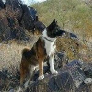 Meet your Posher, Judith